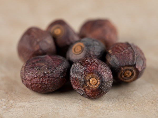 Saw Palmetto